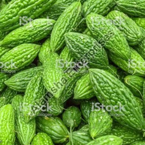 Fresh Bitter Gourd