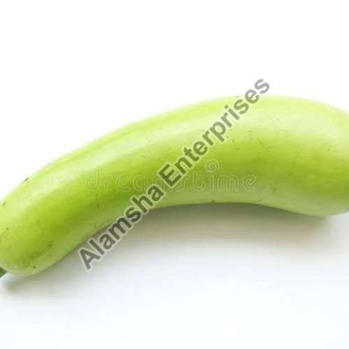 Fresh Bottle Gourd