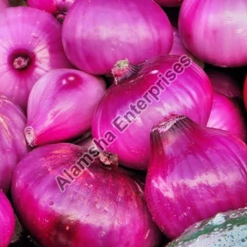 Nashik Red Fresh Onion
