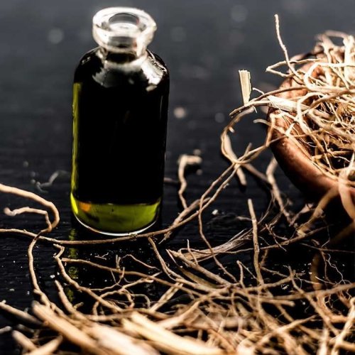Indian Vetiver Oil