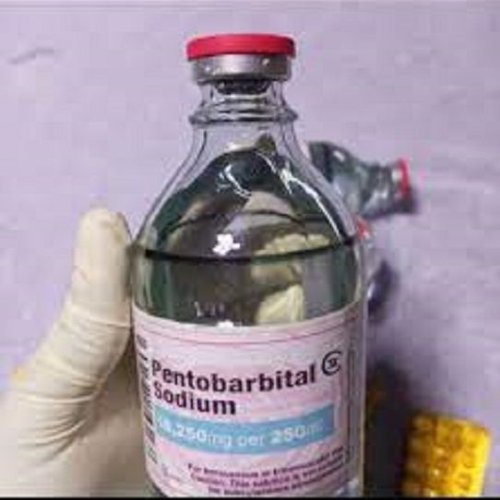 Nembutal Pantobarbital Powder Liquid