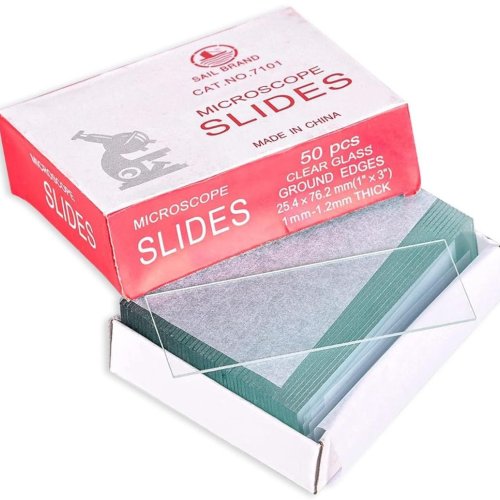 Microscope Glass Slides