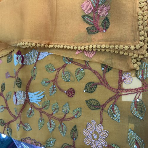 Kantha Butta Embroidered Organza Suit