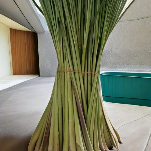 Green Lemon Grass