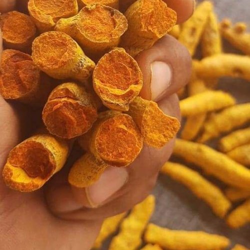 Turmeric Finger