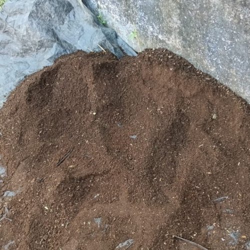 Cow Dung Compost Manure