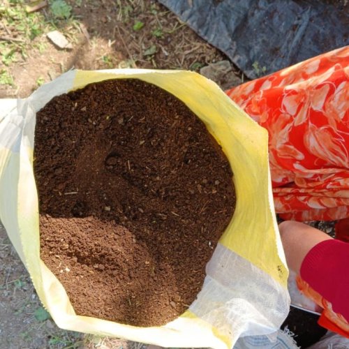 Organic Cow Dung Manure