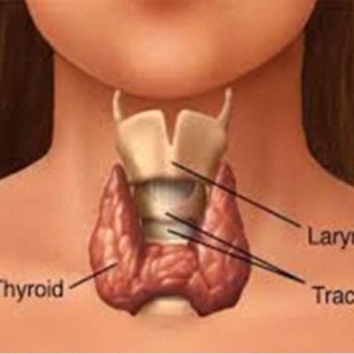 Sarcoma Cancer Treatment Service