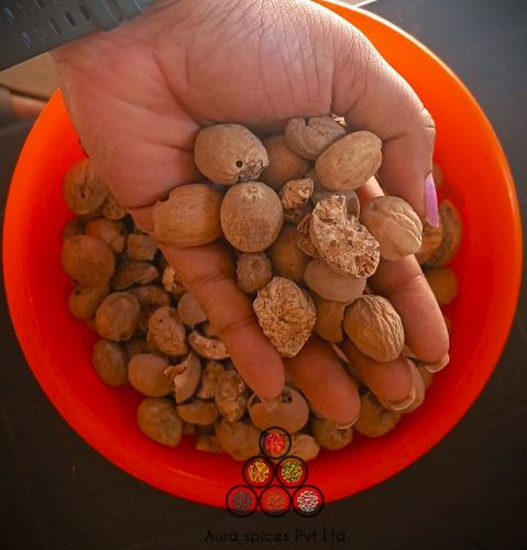Natural Broken Nutmeg