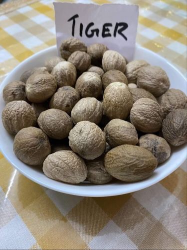 Natural Tiger Nutmeg