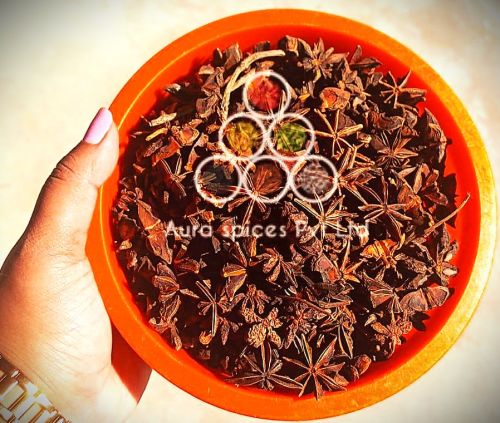 Normal Star Anise