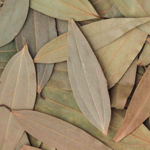 Organic Bay Leaf