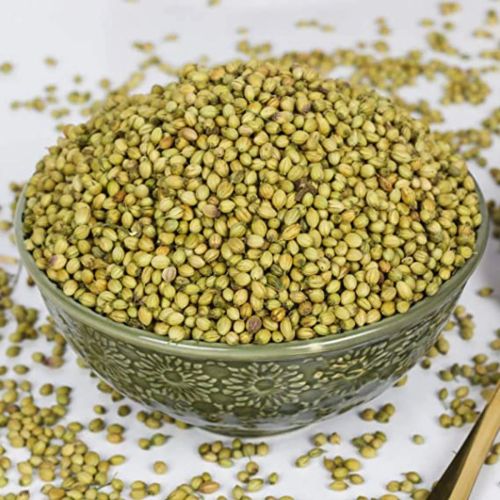 Organic Green Coriander Seed