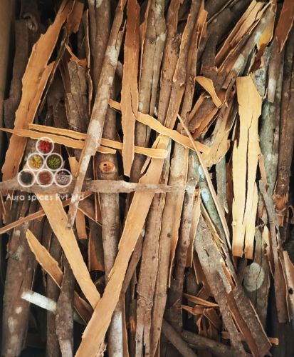 Premium Split Cassia