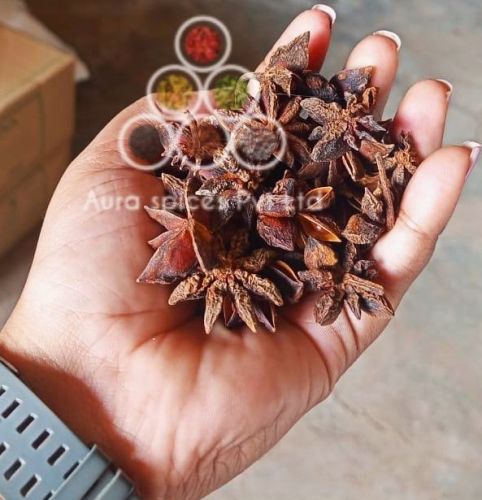 Premium Star Anise
