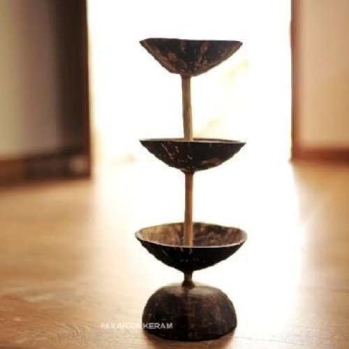 Coconut Shell Flower Vase