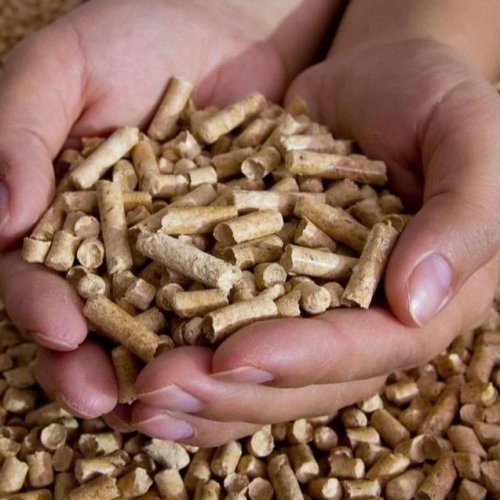Biomass Wood Pellets