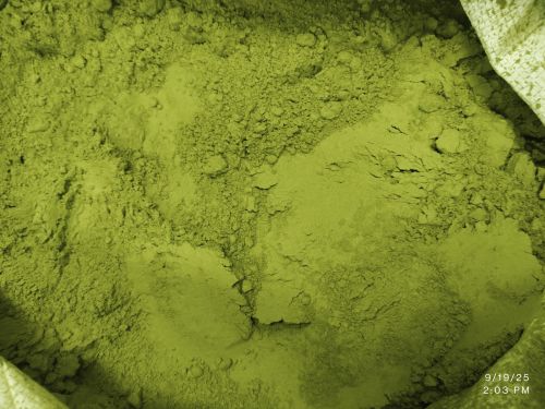 Wheatgrass Powder