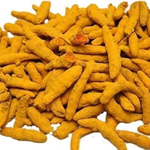 Salem Turmeric Finger