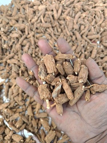 Dry Nannari Root