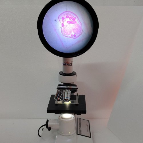 200x Advance Projection Microscope
