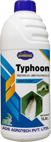 Typhoon