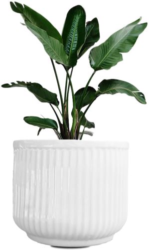 Decorative Ceramic Flower Pot