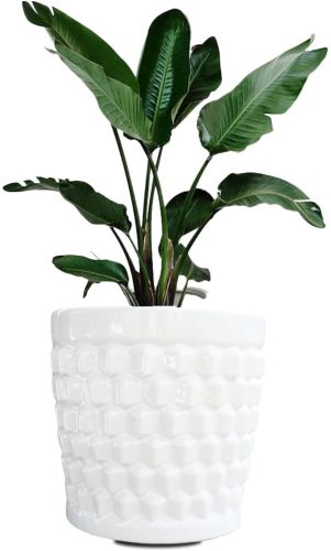 Garden Ceramic Plant Pot