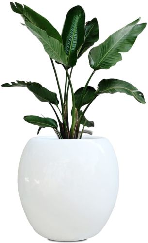 Round Ceramic Flower Pot