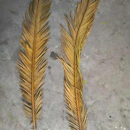 18inch Skeleton Leaves