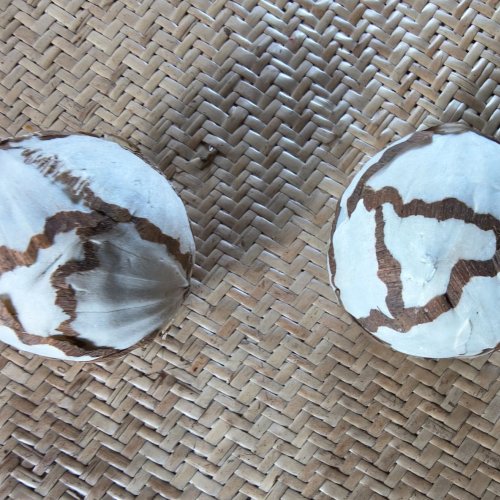 3 Inch Sola Cabbage Ball