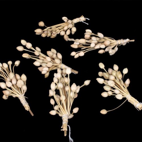 Artificial Off White Moti Bunch