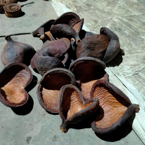 Natural Dried Badam Pods