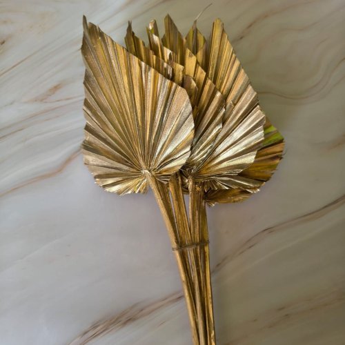 Dried Golden Palm Spear