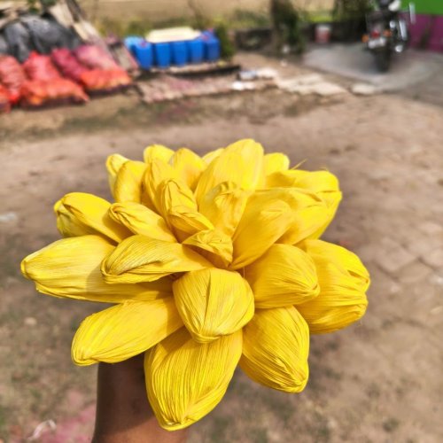 Dried Yellow Corn Husk Flower