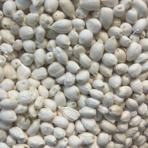 White Artificial Jasmine Flowers Buds