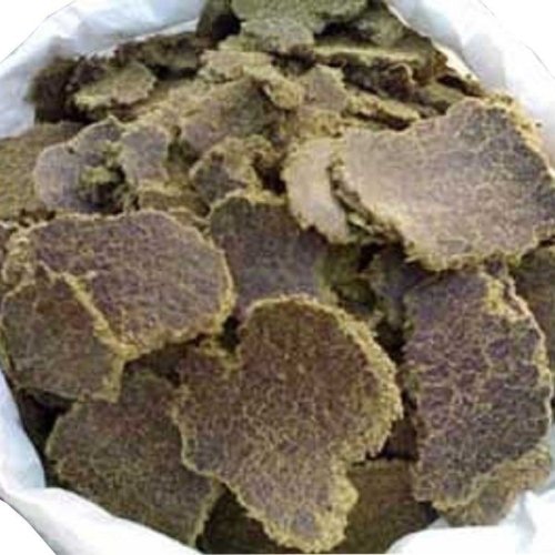 Cotton Seed Oil Cake