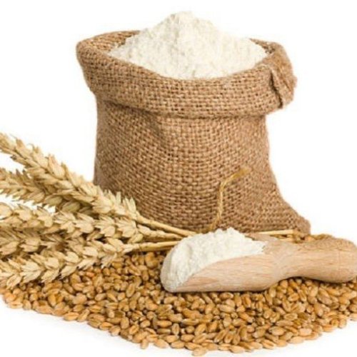 High Quality Wheat Flour