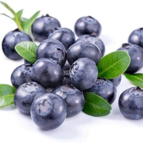 Fresh Premium Blueberry