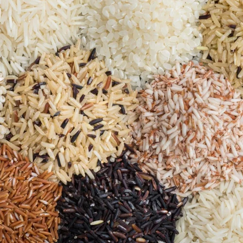 All Type of Rice