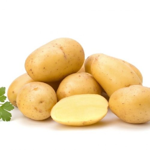 Fresh Badshah Potato