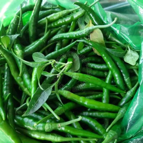 Fresh G4 Green Chilli
