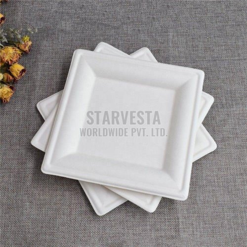 Square Sugarcane Bagasse Disposable Plate
