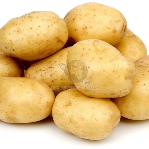A Grade Fresh Potato