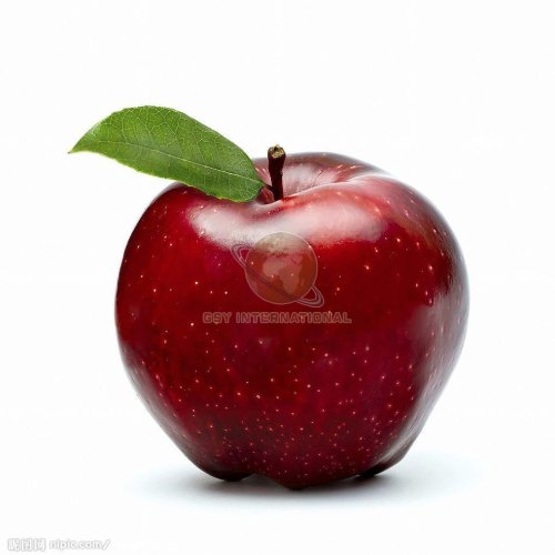 A Grade Fresh Red Apple