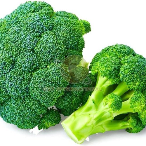 Fresh Broccoli