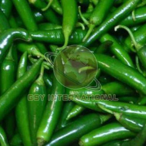 Fresh Green Chilli