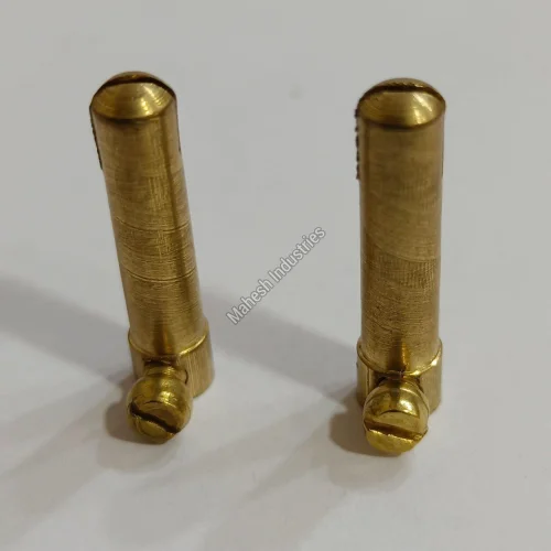 Brass Male 2 Pin