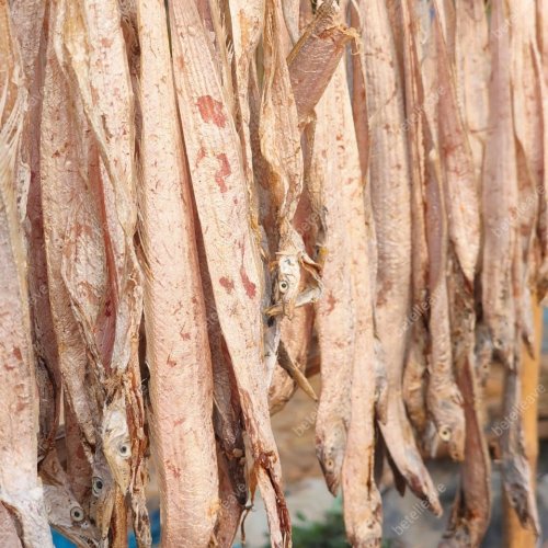 Premium Sun Dried Ribbon Fish (Shutki)