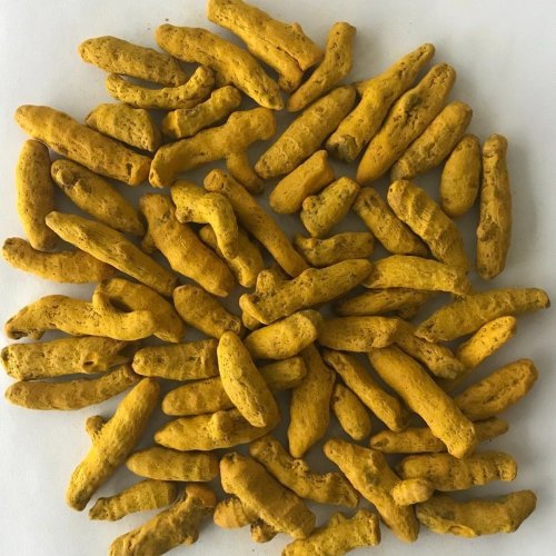 Premium Salem Turmeric Finger